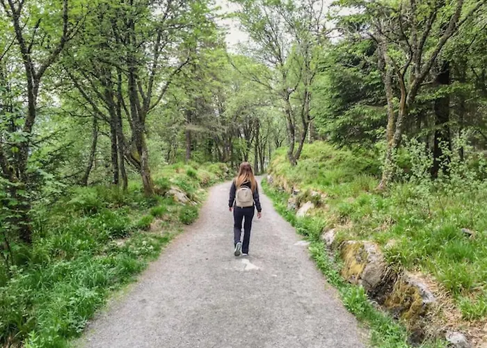 Fresh Apartment, A Short Walk From Bryggen