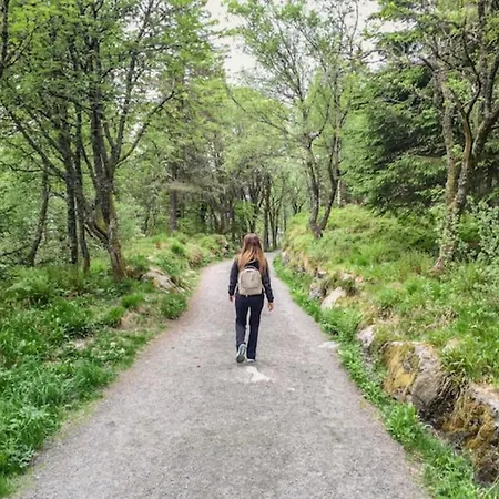 Fresh Apartment, A Short Walk From Bryggen